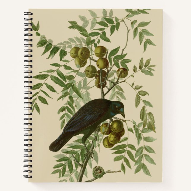 Audubon American Crow Black Bird Notebook (Front)