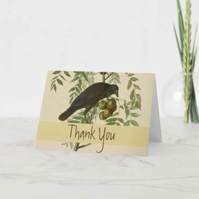 Audubon American Crow Black Bird Thank You Card (Front)