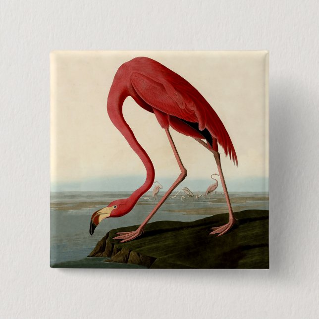 Audubon American Flamingo 15 Cm Square Badge (Front)