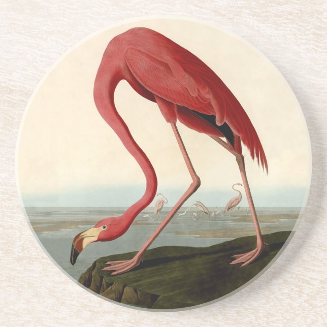 Audubon American Flamingo Coaster (Front)