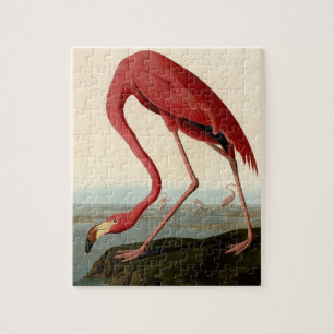 Audubon American Flamingo Jigsaw Puzzle