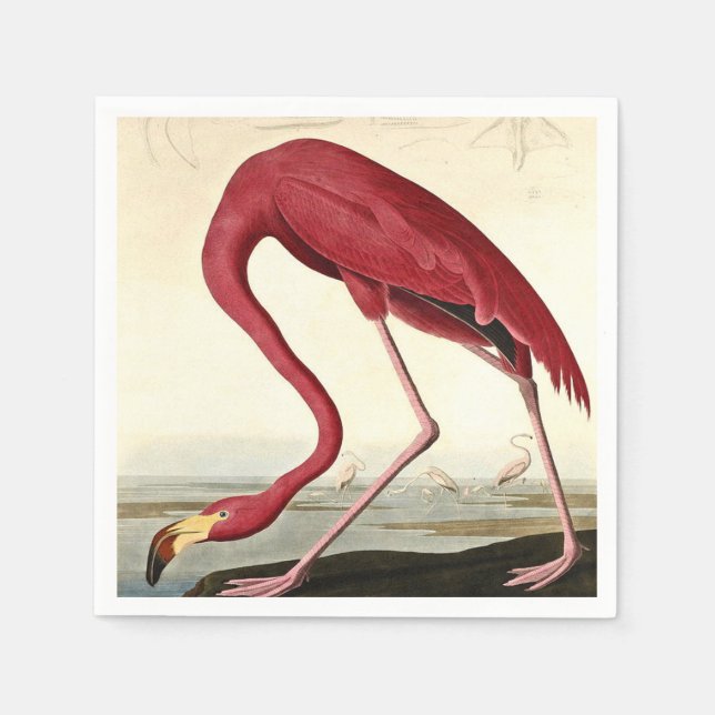 Audubon American Flamingo John James Audubon Napkin (Front)
