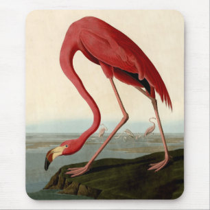 Audubon American Flamingo Mouse Pad