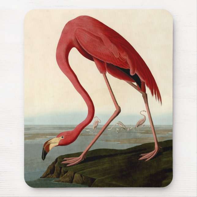 Audubon American Flamingo Mouse Pad (Front)