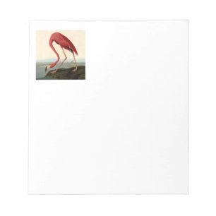 Audubon American Flamingo Notepad