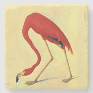 Audubon American Flamingo Painting Stone Coaster
