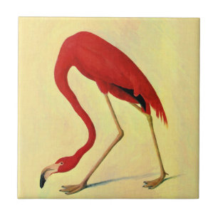 Audubon American Flamingo Painting Tile