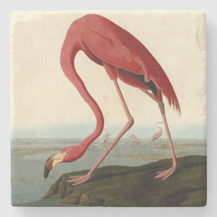 Audubon American Flamingo Stone Coaster