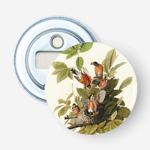 Audubon American Robin Wildlife Bird Illustration Bottle Opener