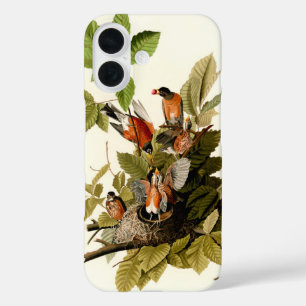 Audubon American Robin Wildlife Bird Illustration iPhone 16 Case