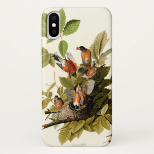 Audubon American Robin Wildlife Bird Illustration iPhone X Case