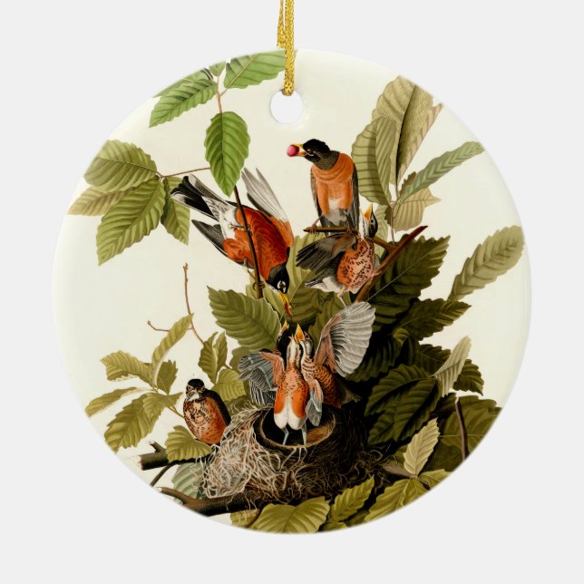 Audubon American Robin Wildlife Bird Illustration Ceramic Ornament (Back)