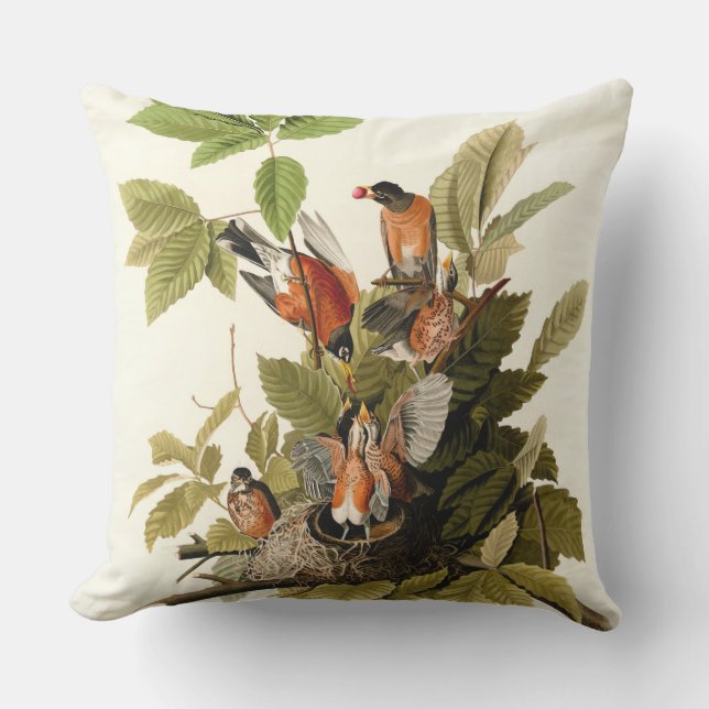 Audubon American Robin Wildlife Bird Illustration Cushion (Front)