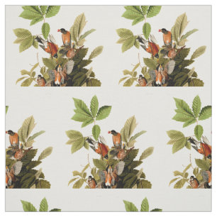 Audubon American Robin Wildlife Bird Illustration Fabric