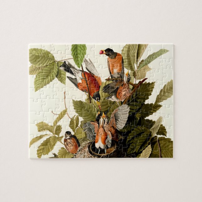 Audubon American Robin Wildlife Bird Illustration Jigsaw Puzzle (Horizontal)