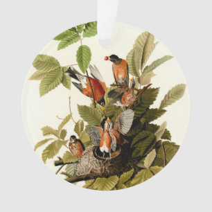 Audubon American Robin Wildlife Bird Illustration Ornament