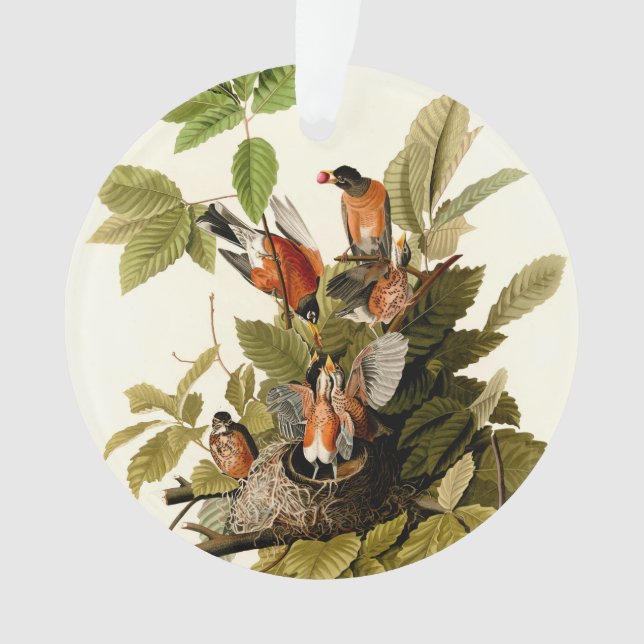 Audubon American Robin Wildlife Bird Illustration Ornament (Front)
