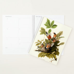 Audubon American Robin Wildlife Bird Illustration Planner