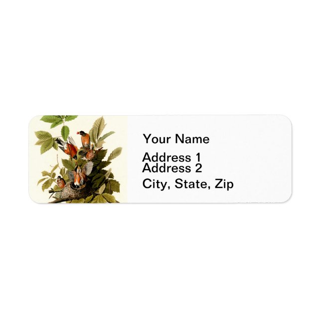 Audubon American Robin Wildlife Bird Illustration Return Address Label (Front)