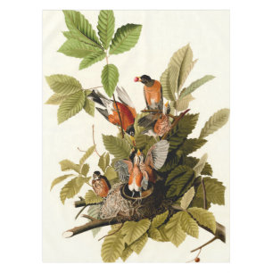 Audubon American Robin Wildlife Bird Illustration Tablecloth