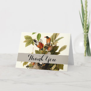 Audubon American Robin Wildlife Bird Illustration Thank You Card