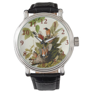 Audubon American Robin Wildlife Bird Illustration Watch