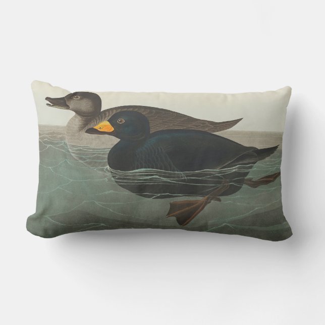 Audubon American Scoter Duck Classic Lumbar Cushion (Front)