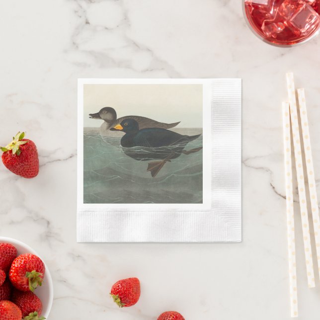 Audubon American Scoter Duck Classic Napkin (Insitu)