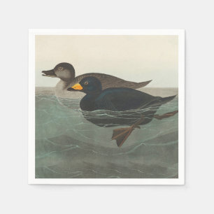 Audubon American Scoter Duck Classic Napkin