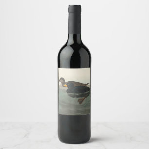 Audubon American Scoter Duck Classic Wine Label