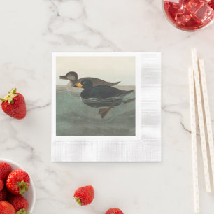 Audubon American Scoter Duck Napkin