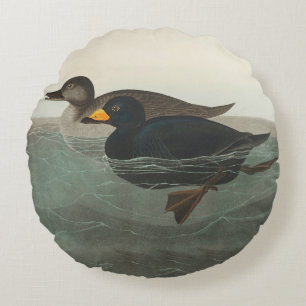 Audubon American Scoter Duck Round Cushion