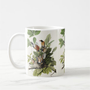 Audubon American Spring Robin Bird Illustration Coffee Mug