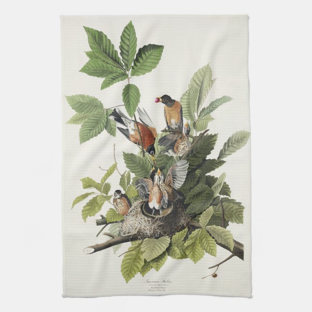 Audubon American Spring Robin Bird Illustration Tea Towel (Vertical)
