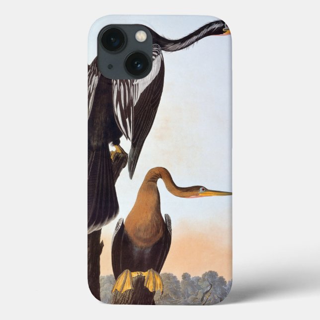 Audubon: Anhinga Case-Mate iPhone Case (Back)