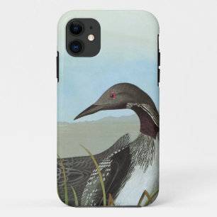 Audubon: Arctic Loon iPhone 11 Case