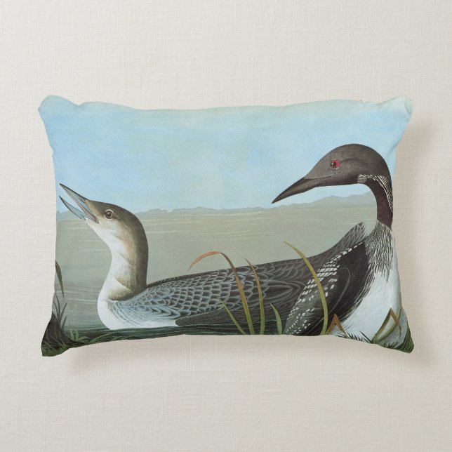 Audubon: Arctic Loon Decorative Cushion (Front)