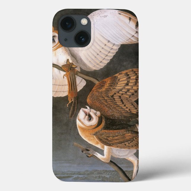 Audubon: Barn Owl Case-Mate iPhone Case (Back)