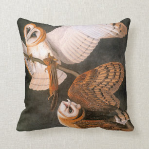 Audubon: Barn Owl Cushion