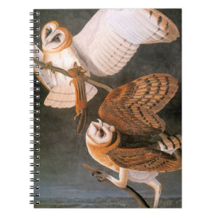 Audubon: Barn Owl Notebook