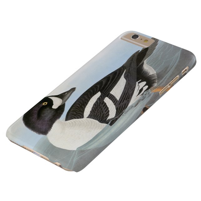 Audubon: Barrow's Goldeneye Case-Mate iPhone Case (Top)