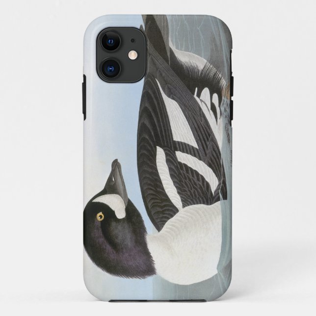 Audubon: Barrow's Goldeneye Case-Mate iPhone Case (Back)