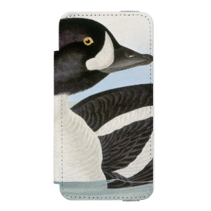 Audubon: Barrow's Goldeneye Incipio Watson™ iPhone 5 Wallet Case