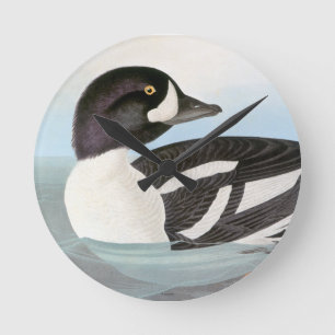 Audubon: Barrow's Goldeneye Round Clock
