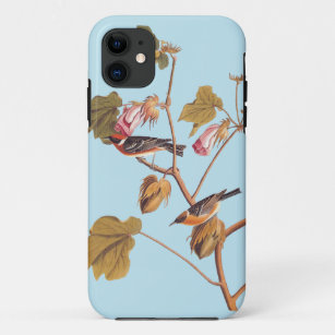 Audubon Bay-Breasted Warbler Bird on Cotton Plant Case-Mate iPhone Case