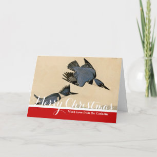 Audubon Belted Kingfisher Wildlife Bird Holiday Card