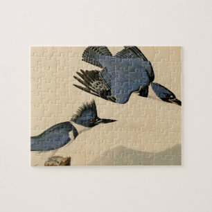 Audubon Belted Kingfisher Wildlife Bird Jigsaw Puzzle