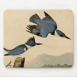 Audubon Belted Kingfisher Wildlife Bird Mouse Pad