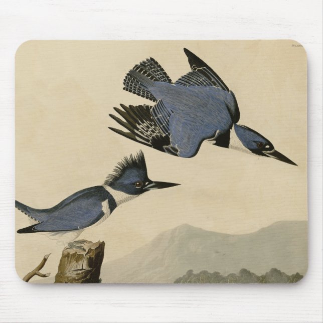 Audubon Belted Kingfisher Wildlife Bird Mouse Pad (Front)