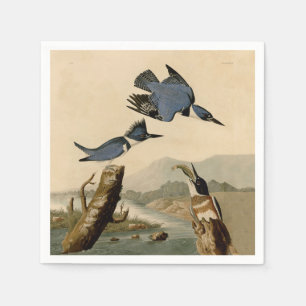 Audubon Belted Kingfisher Wildlife Bird Napkin